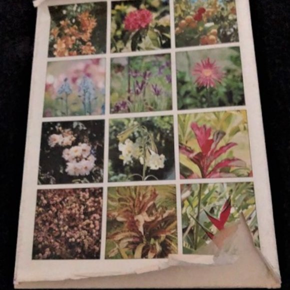 1971 What Flower is That? by Stirling Macoboy - Picture 2 of 8